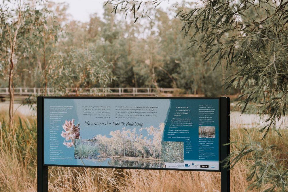 Wetlands walk paths